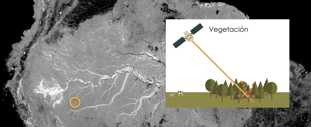 Aplicacion imagenes SAR