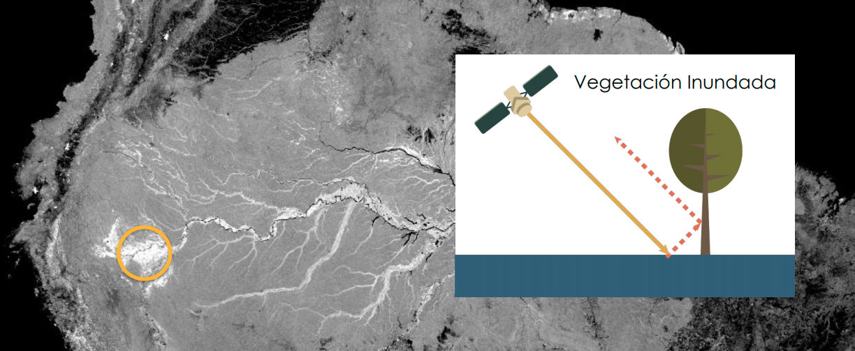 La vegetación inundada se verá brillante
