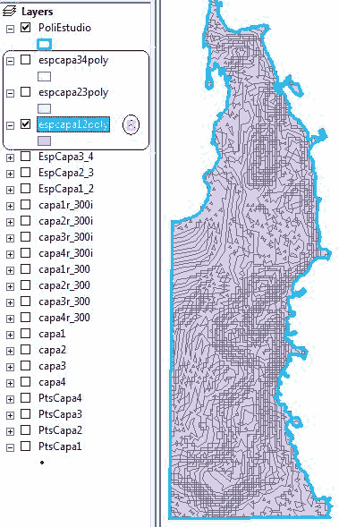 Raster a polígono en Arcgis