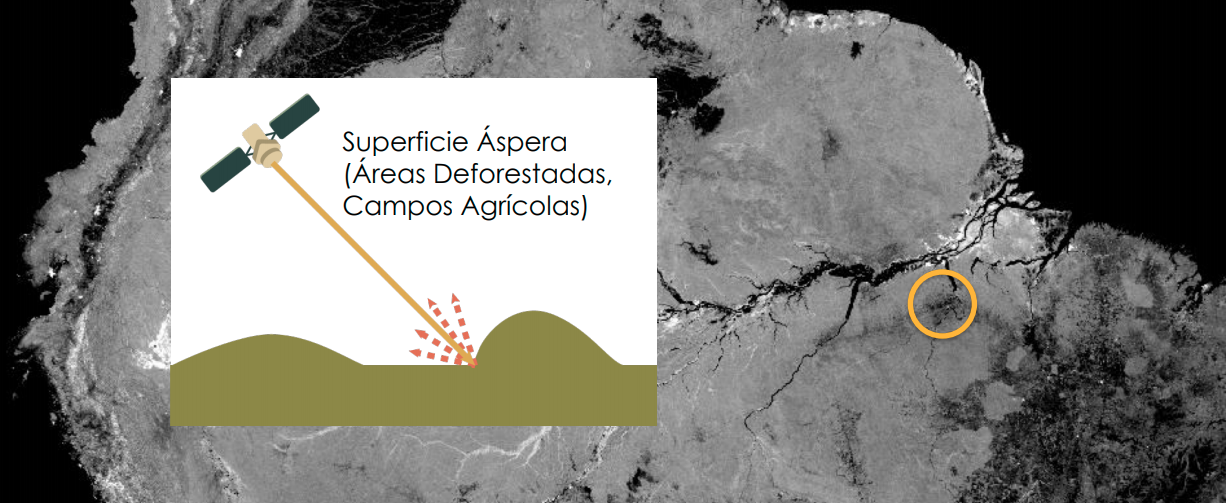 Superficie aspera SAR